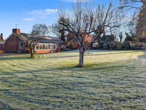 Photo 23- click for photo gallery